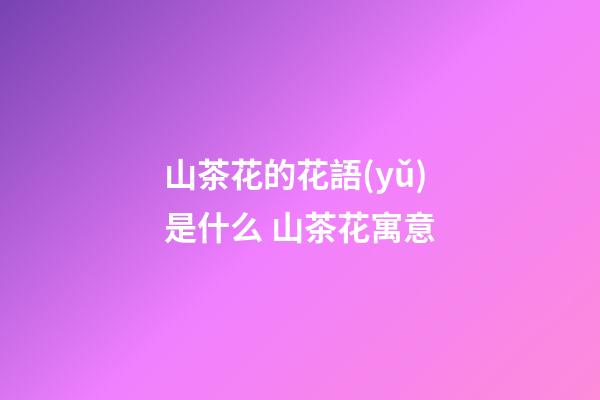 山茶花的花語(yǔ)是什么 山茶花寓意